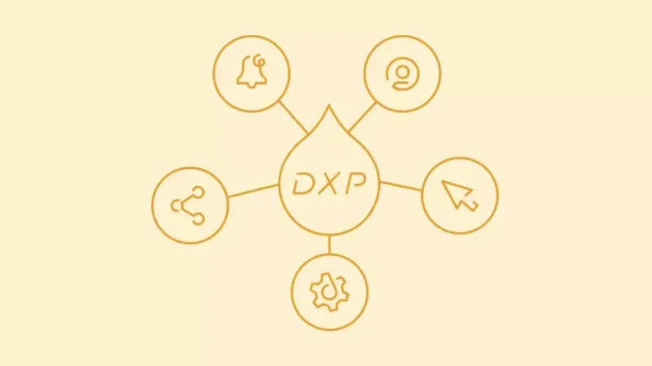 Diagrama gráfico con íconos de campana, persona, flecha, engranaje y compartir alrededor de "DXP".